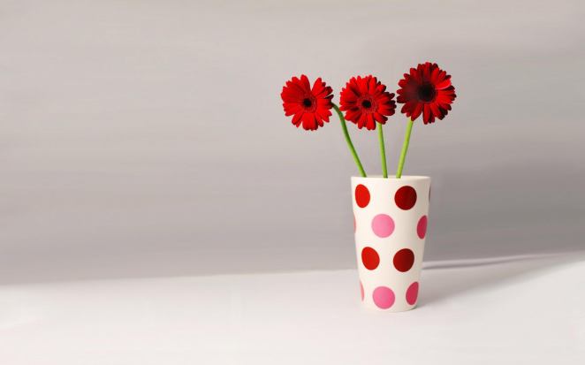 3-beautiful-little-red-flowers